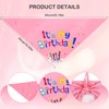Dog Birthday Party Supplies Pink Dog Birthday Hat with Numbers