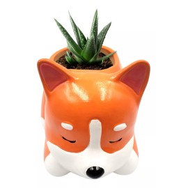 Muna Maceta Cerámica Esmaltada Animales Cactus Suculenta Decorada