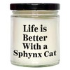 Sphynx Cat Scented Candle Gifts for Father's Day | Funny