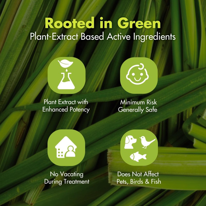 EcoVenger® Ant and Insect Killer 16 oz | Citrus Scent