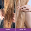 Mascarilla Hidratante Reparadora, Cabello Seco y Maltratado, Semilla Uva