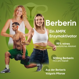 Berberine Capsules 500 mg - 95% Berberine HCL - 4 Month Supply - 120 Vegan Capsules - From the Berberis Vulgaris Plant - Natural Dietary Supplement without Magnesium Stearate - by WeightWorld