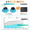 Comfytemp 足首アイシング サポーター 大口径15cm氷嚢*2 スポーツ用 アイスバッグ 足首固定用サポーター 冷温両用バッグ アイシング用品 通気性