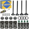 400ex Valve Seal Spring Kit for TRX400EX TRX400X 400EX 400X