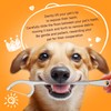 Dr. Emma Dog Tooth Brush Picks Pet Dental Floss for