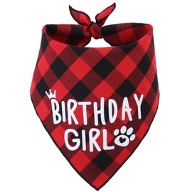 JPB Dog Birthday Bandana Girl