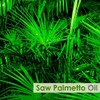 Crysalis Crysalis Saw Palmetto (Serenoa repens) Oil - 1.69 Fl