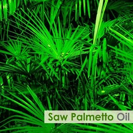 Crysalis Crysalis Saw Palmetto (Serenoa repens) Oil - 1.69 Fl Oz (50ml)
