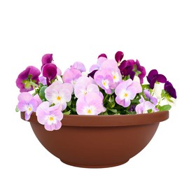 The HC Companies GAB12000E35C012LRTOP Garden Bowl Planter, 12", Terra Cotta
