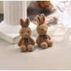2 Pares Aretes De Peluche Plata Ley 925 Animales Conejo