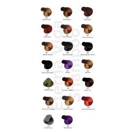 Blue ETERNA VIDA 6-1 Hair Dye Shampoo for both Men & Women Haircare - Color Options: Dazzling Pearl Black