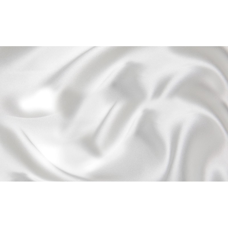 Hairworthy Silk Pillowcase for Hair and Skin - White Queen
