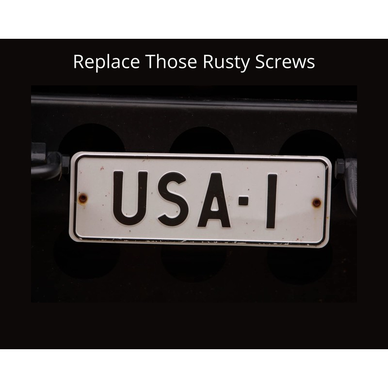 Four (4) Stainless Steel License Plate Screws (BCP253)