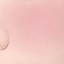 lilybyred Luv Beam Blur Cheek Brush  - #05 Lavender Blur