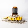 Exotic Pineapple Sage - Premium Soy & Coconut Wax Candle