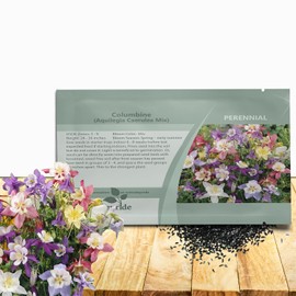 Outsidepride Mixed Columbine Seeds - 1000 Pcs Perennial, Easy to Grow Flower Seeds for Planting, Suitable for Pollinator-Friendly Garden, Cut Floral Arrangements, Ground Covers, or Borders