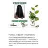 Difeel, Rosemary & Mint Shampoo 354.9 Ml