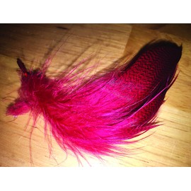 Creative Angler Mallard Flank Red Dyed Feathers for Fly Tying or Tying Flies