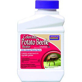 Bonide Colorado Potato Beetle Beater Concentrate, 16 oz Makes 8 Gallons for Organic Gardening and Vegetable Garden Insect Control