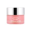 PETITFEE [PETITFEE]Oil Blossom Lip Mask Camelia Oil