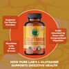 Pure Lab Vitamins L-Glutamine 500mg 150 Vegi-caps - Supports Digestive