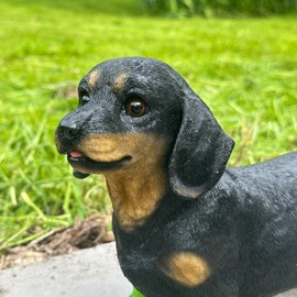Super cute Dogs and Farm Animals in Wellington Boots figurines novelty home or garden decorations or collectables, GIFT BOXED (DACHSHUND in GREEN Wellingtons)