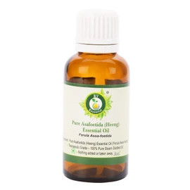 R V Essential Pure Asafoetida (Heeng) Essential Oil 30 ml (1.01 ounces) - Ferula Assa (100% Pure and Natural Steam Distillated) Pure Asafoetida (Heeng) Essential Oil