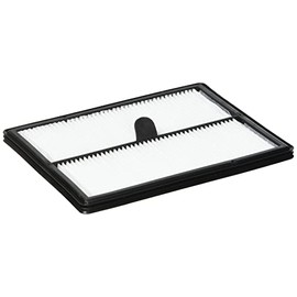 Electrolux Pure i8/Pure i9/Motionsense Filter, White EFR1