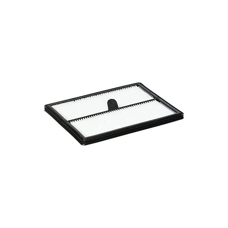 Electrolux Pure i8/Pure i9/Motionsense Filter, White EFR1
