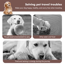 Collapsible Dog Bowls, Travel Food and Water Bowl with Lid for Cats and Dogs, 2-in-1 Portable Food Feeding and Storage Solution, Perfect for Traveling, Camping & Walking (S/ 60oz)
