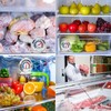 12 Pack Refrigerator Freezer Thermometer Large Dial Fridge Thermometer with