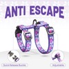 Cat Harness and Leash Set - Escape Proof Adjustable Cat