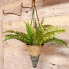 Wildlife World Artisan Hanging Plant Basket - Small Conical -