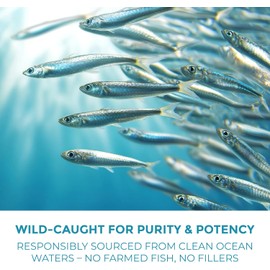 Omega 3 Fish Oil Capsules [3000mg] Omega 3 Supplement DHA Supplement | Omega3 Fish Oil Pills | for Heart Health, Immune System, Skin, & Brain Health, Gluten-Free and BURPLESS