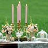 GenSwin Flameless Pink Taper Candles Flickering with 10-Key Remote, Battery