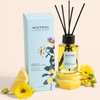 Mistral Cédrat & Passion Flower Reed Diffuser – Citrus &