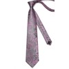 Enlision Men's Ties Pink Paisley Clip Tie and Pocket Square