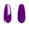 Vishine Gel Nail Polish, 1Pcs 16ml Purple Gel Polish Soak
