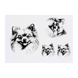 Azeeda 4 x 'Pommerschen' Temporäre Tattoos - Wasserfest, Hautfreundlich & Ungiftig · Transfers in Verschiedenen Größen (TO00080580)