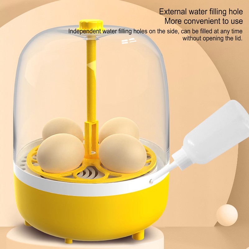 4 Eggs Incubator Temperature Humidity Control Visual Low Noise Energy