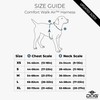 DOG Copenhagen Comfort Walk Air 3.0 Harness, Desert Dune, M