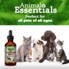 Animal Essentials Tranquility Blend Herbal Formula for Dogs & Cats,