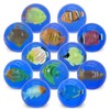 Hommeiily Bouncy Balls, Pack of 12 42 mm Sea Fish