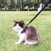 pangdi Cat Harness and Leash Set Escape Proof Tactical Extra
