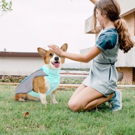 Cooling Vest for Dogs,Cooling Jacket for Large Cat | Puppy Cooling Vest Breathable Cooler Coat, Reflective Strip Dog Cooling Jacket for Summer Outdoor Walking