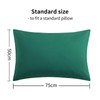 RUIKASI Pillow Cases 2 Pack - Green Standard 50x75 cm