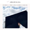 折りたたみ晴雨兼用傘 パイピング レース 日傘 折傘 雨傘 コンパクト 折りたたみ UV対策 UVカット