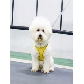 Pechera Arnés Transpirable Cómodo con Correa para Perro Gato,con Tira Reflectante (Rosa, L)