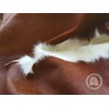 Hereford Cowhide Rug 6ft x 8 ft 180cm x 240