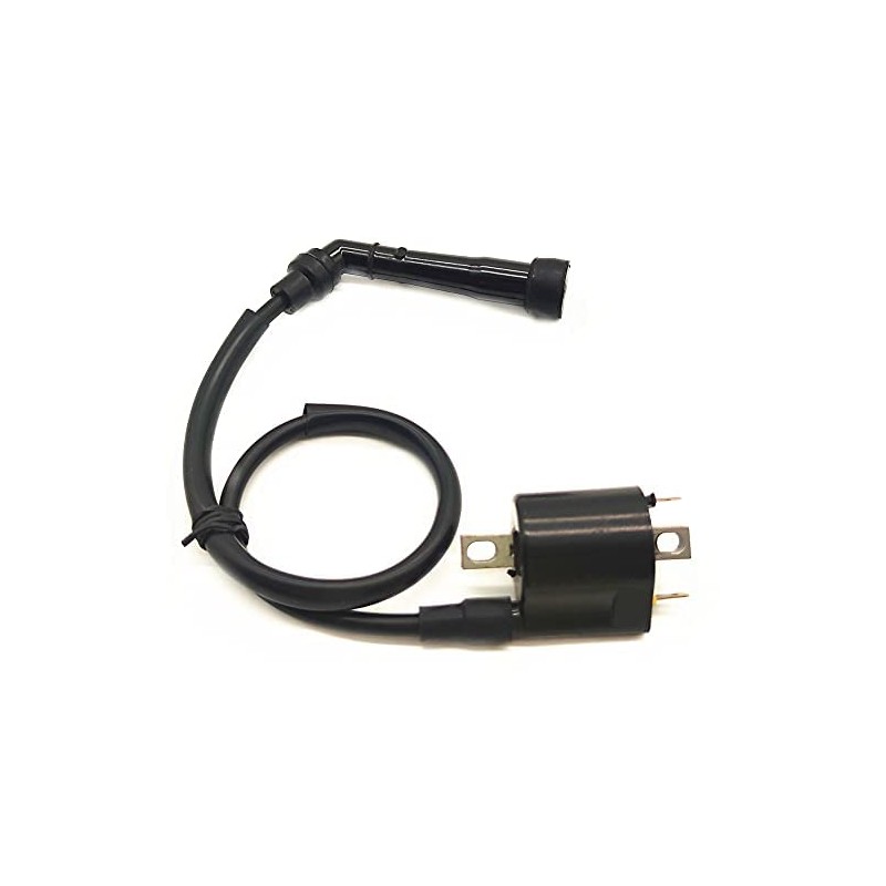 Bobina de encendido para motocicleta Yamaha Grizzly 700 1D7-82310-00-00 1D7-82310-01-00